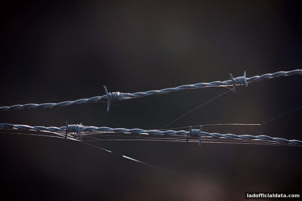 立博官方指南：NetEnt电子游戏玩家权益维护全攻略